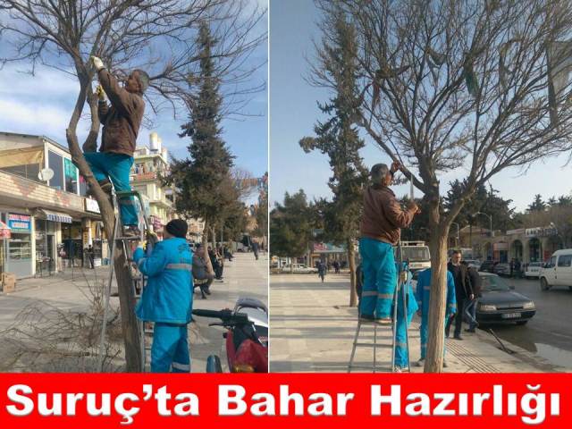 Suruçta Bahar Hazırlığı