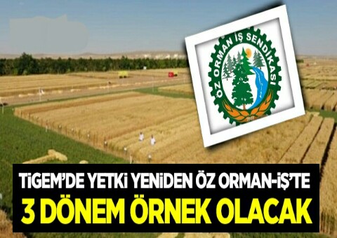 TİGEMde Yetki Yeniden Öz Orman-İş'te