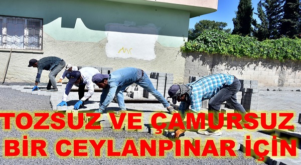 TOZSUZ VE ÇAMURSUZ BİR CEYLANPINAR İÇİN