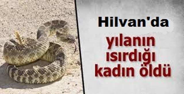 Yılanın Isırdığı Kadın Öldü