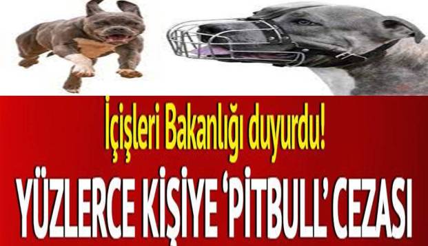 YÜZLERCE KİŞİYE PİTBULL CEZASI